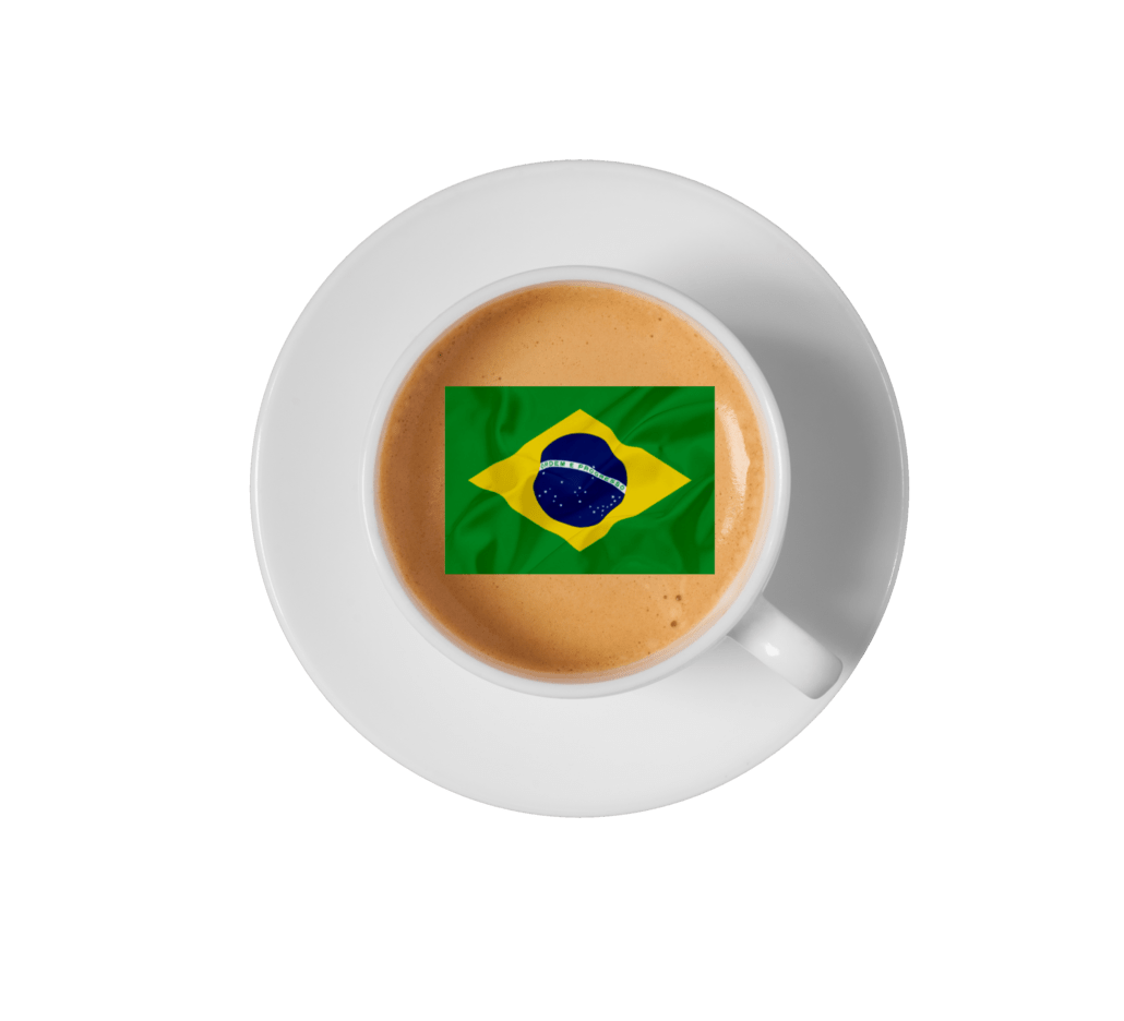 Icona - Bandiera Brasile