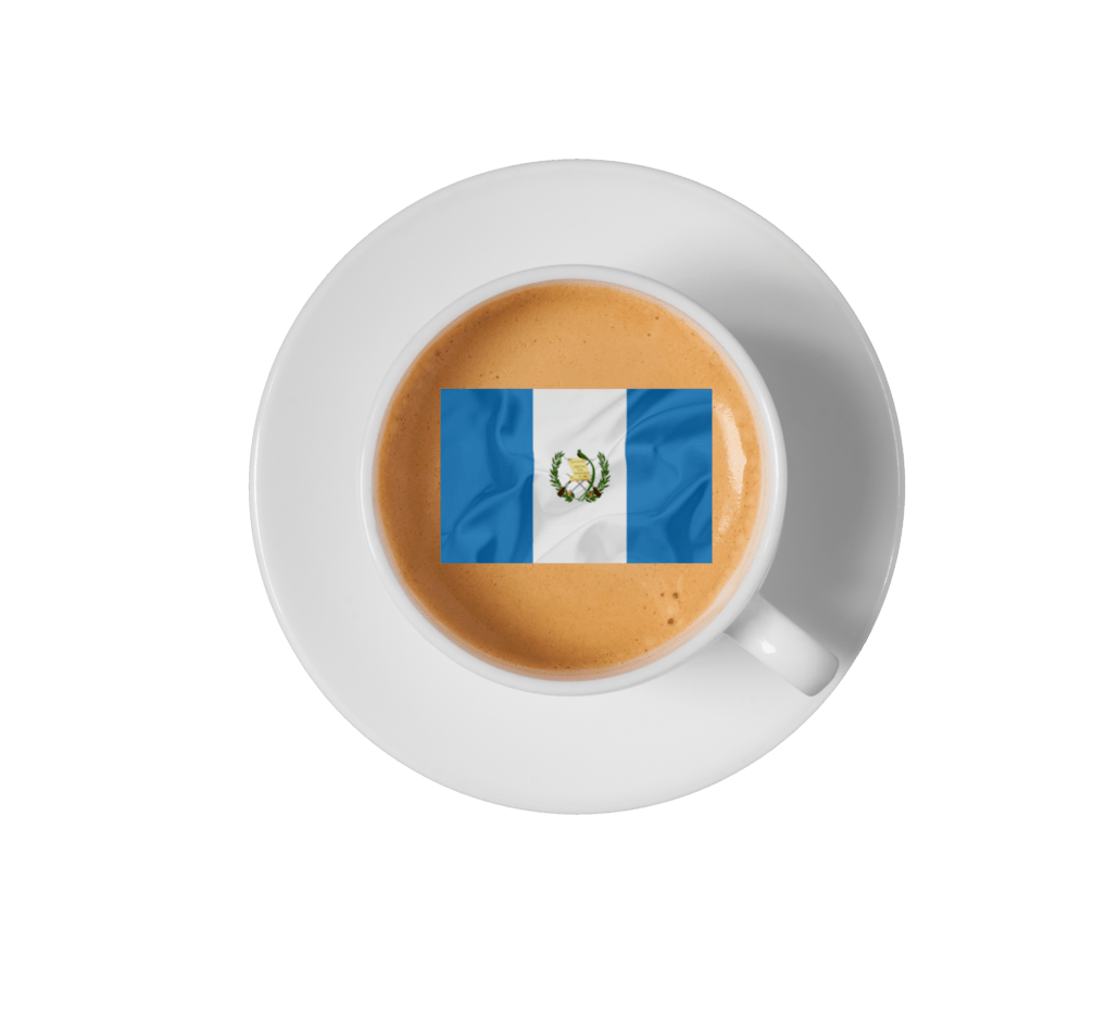 Icona - Bandiera Guatemala