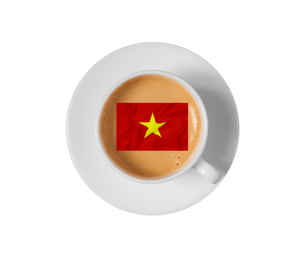 Icona - Bandiera Vietnam